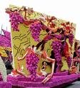Bloemencorso 2015-09-10 038
